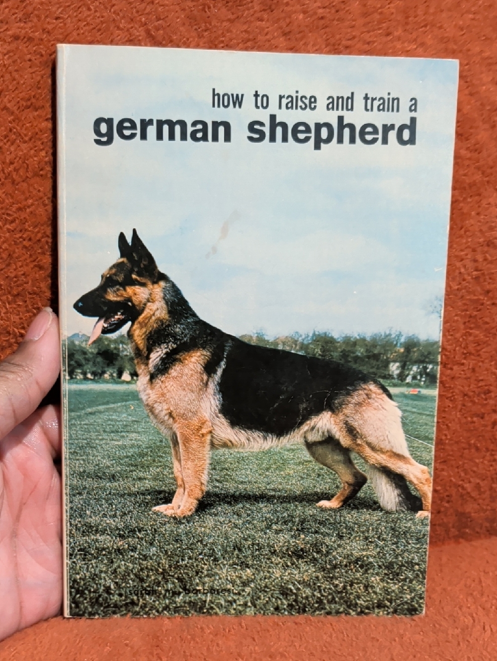 How to Raise and Train a German Shepherd